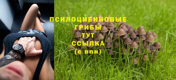 бутират Алзамай
