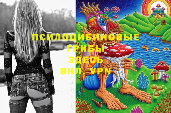 бутират Алзамай