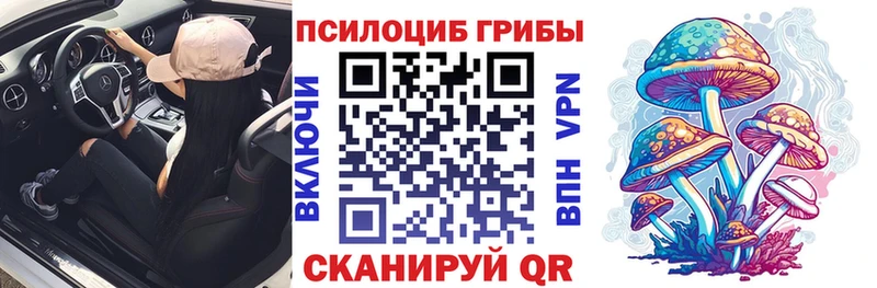 купить   Анапа  KRAKEN онион  Псилоцибиновые грибы Cubensis 
